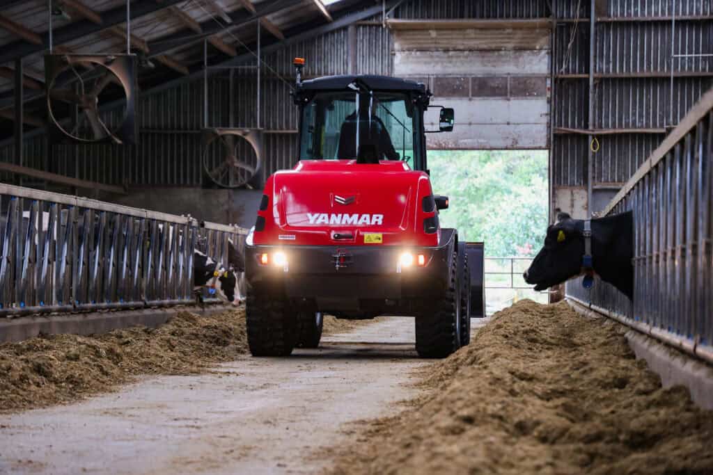 Koeien in een schuur met Yanmar landbouwtractor voor het voeren.